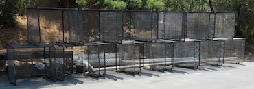 Air Conditioning Cages.